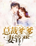 团宠三宝,总裁爹爹妻管严全本免费