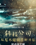 科技公司：从发布鲲鹏手机开始