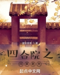 四合院之闫家老大TXT下载