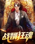 小说狂婿战神