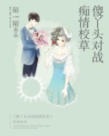 傻丫头恋上恶魔校草 小说