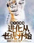 我不是橘猫！进化从老虎开始