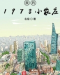 我的1978小农庄小说