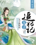 太子追妃记小说