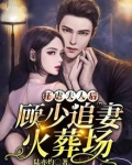 顾少宠妻狂