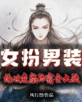 女扮男装:绝世天才