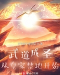 武道成圣：从皇家禁地开始