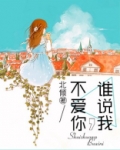 谁说我,不爱你