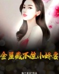 金屋藏不住小娇妻