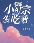 他的小祖宗爱吃糖 甘加