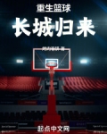 重生蓝球小说