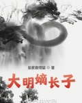 大明嫡长子 起点