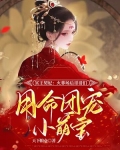 冥王契妃:火葬场后哥哥们用命团宠小萌宝