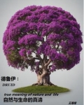 德鲁伊:自然与生命的真谛