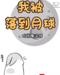 我被落到月球