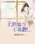 王牌少帅最新章节列表