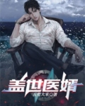 盖世医婿免费全集