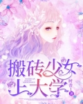 搬砖少女上大学小说免费阅读