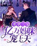 幸孕三宝:亿万妈咪宠上天