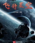 飞升星空