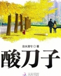 酸刀子