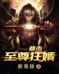 都市至尊狂婿短剧