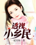 透视小乡民全文免费