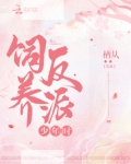 饲养反派少年时 百度网盘