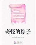奇怪的粽子作文