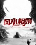风水相婿全文阅读