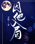 因他入局小说