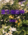 重生做股神