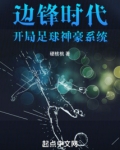足球边锋小说