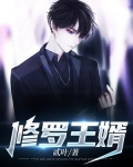 修罗王婿txt