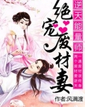 逆天能量师：绝宠废材妻