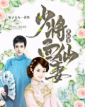 小说少将
