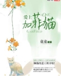 喜欢加菲猫的人性格