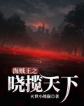海贼王之狙击天下