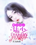 小说 陆少谋妻:婚不由你全文免费阅读