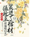 摄政王大婚后走路