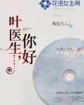 叶医生你好的小说范文600字