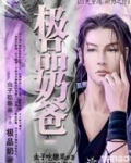 极品奶爸系统笔趣阁无弹窗