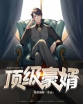 顶级豪婿