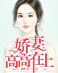 娇妻高高在上小说全集免费阅读