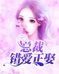 总裁错爱正娶