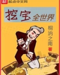 挖宝全世界小说
