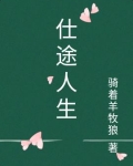 仕途人生