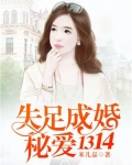 失足成婚,秘爱1314