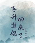 道侣飞升后我的悲惨故事