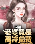 闪婚，老婆竟是高冷总裁